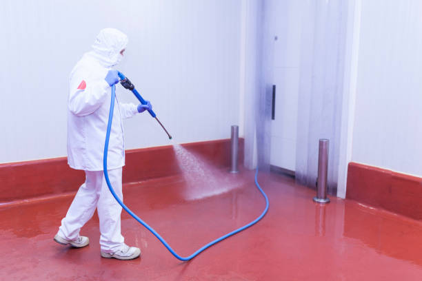 Best Paint Preparation  in Cisco, TX